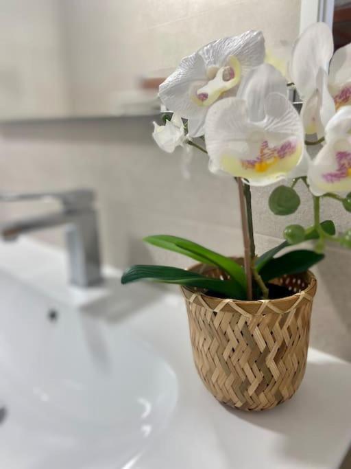 CayónPrecioso Loft En Caion Rocha, Sobre La Arena Y El Marアパートメント エクステリア 写真
